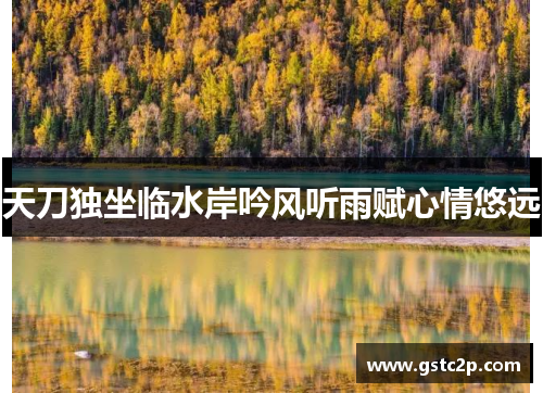 天刀独坐临水岸吟风听雨赋心情悠远 天刀独坐临水岸吟风听雨赋心情悠远